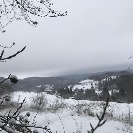 ヴィリンゲン Gluehalm Willingenヴィラ エクステリア 写真